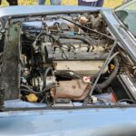 Jaguar XJ6